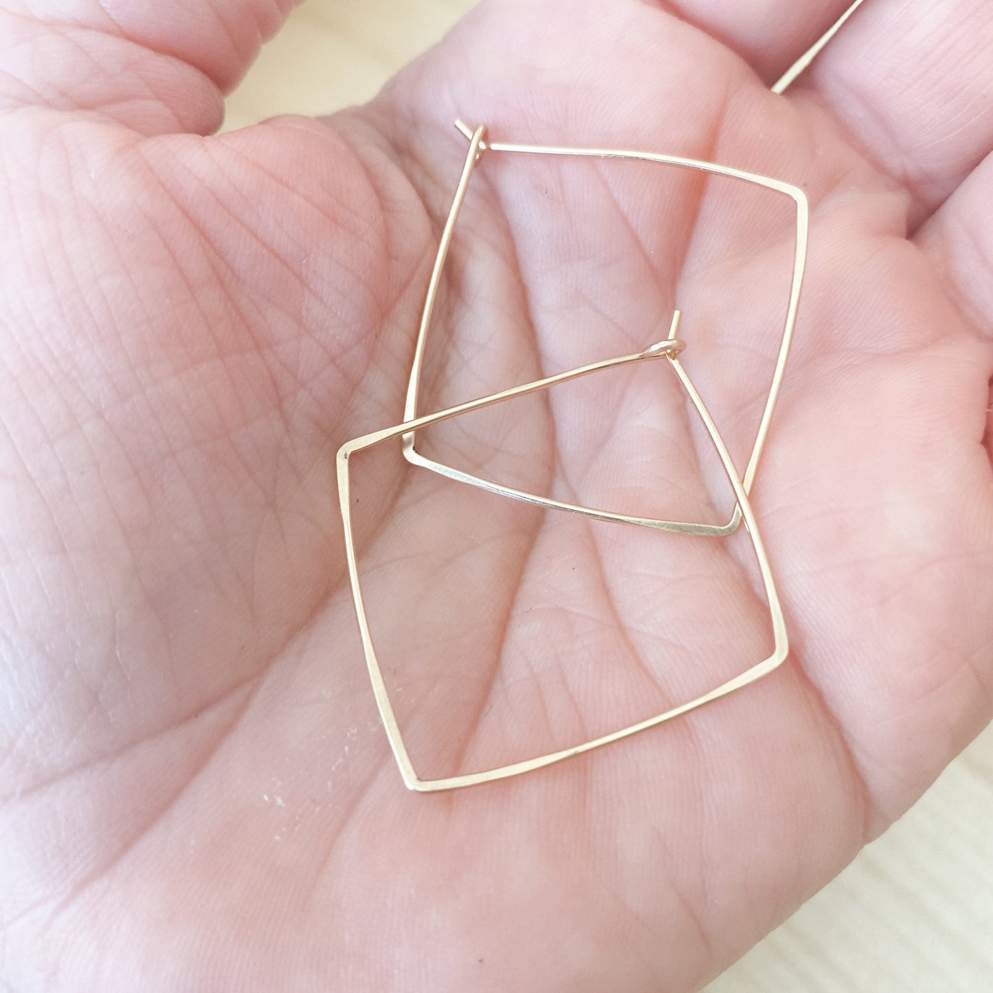 Dani Hoops