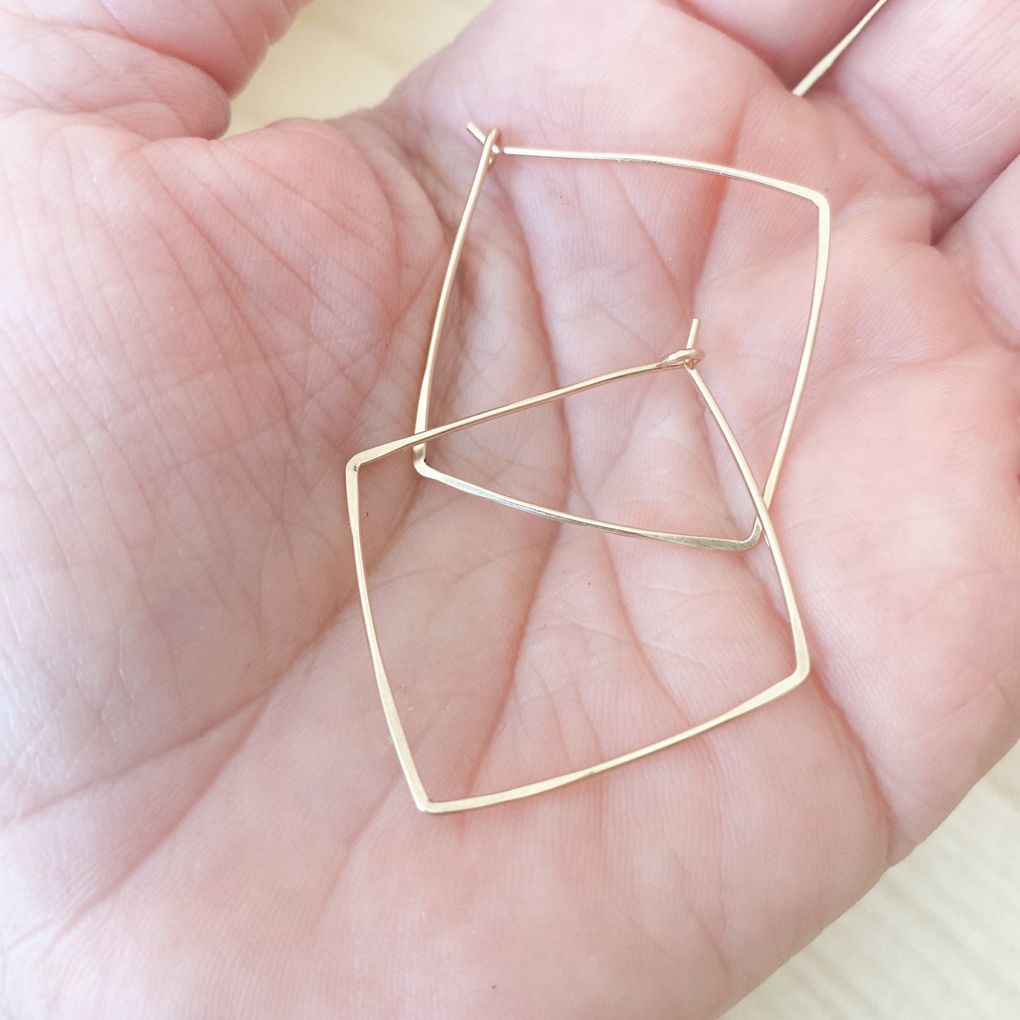 Dani Hoops